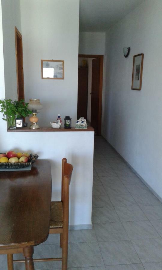Apartmani Sikic מטינה מראה חיצוני תמונה